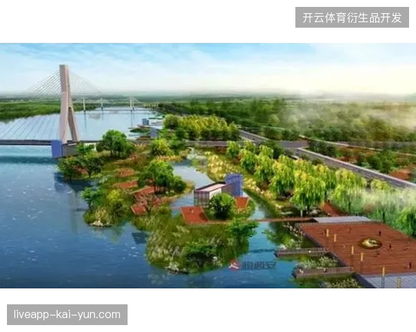 为什么主办城市不再追求单一实地建设导播台的旧逻辑